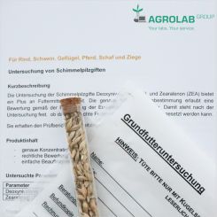 AGROLAB DON/ZEA-Analyse