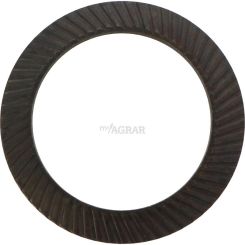 Schnorr Sicherungsscheibe Typ "S" / 20 x 30 x 1,5