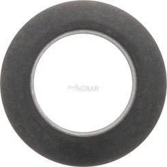 Schnorr Spannscheibe Typ "HS" / 19 x 33 x 4,5