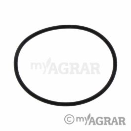 Arag O-Ring für Stecktüllen