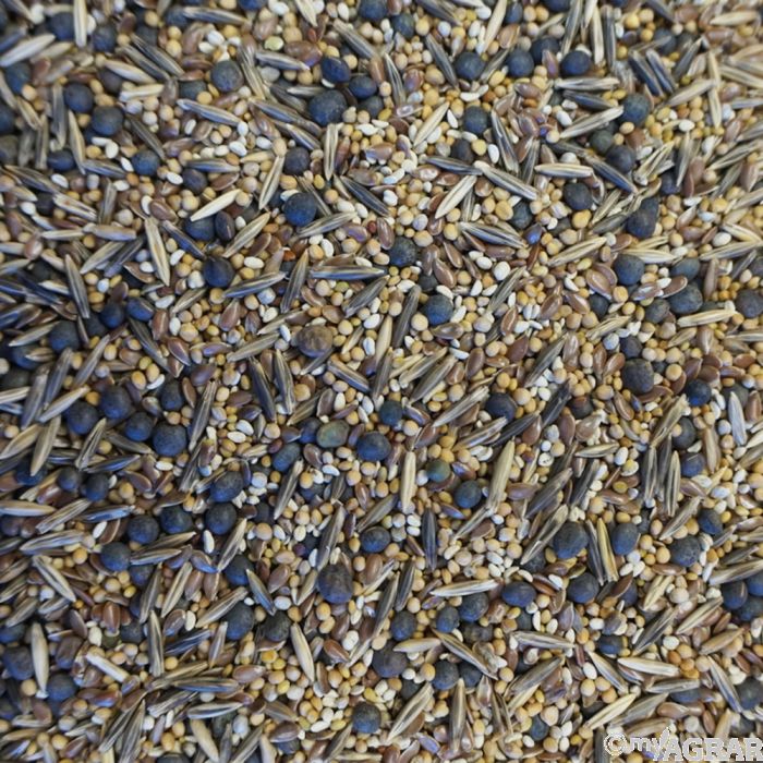 Viterra Zwischenfrucht Rbengare kaufen | myAGRAR Onlineshop