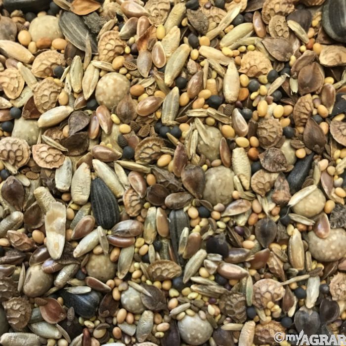 Viterra Zwischenfrucht NRW Bunte Brache kaufen | myAGRAR Onlineshop