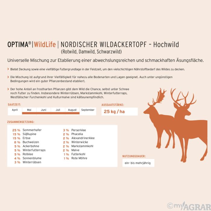 Blumenmischung Ein- Und Mehrjährig Kiepenkerl 'Wild- Und Gartenblumen Blumensamen Fuer 1 Bis 2 M Blumenmischung Ein- Und Mehrjährig Kiepenkerl 'Wild- Und Gartenblumen Blumensamen Fuer 1 Bis 2 M