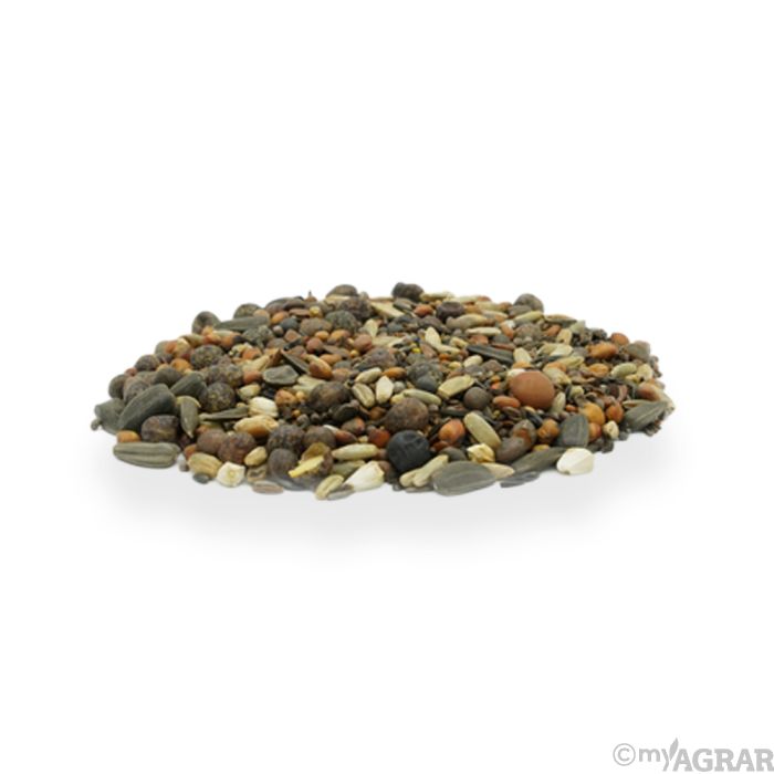 aloe bltter Aloe vera Blatt frisch frisch geliefert