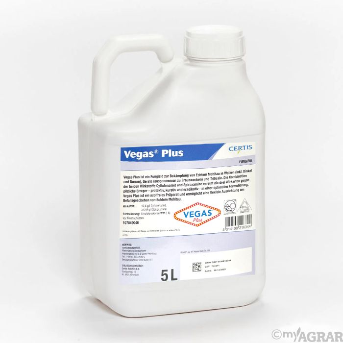 Interface du casino Vegas Plus en ligne