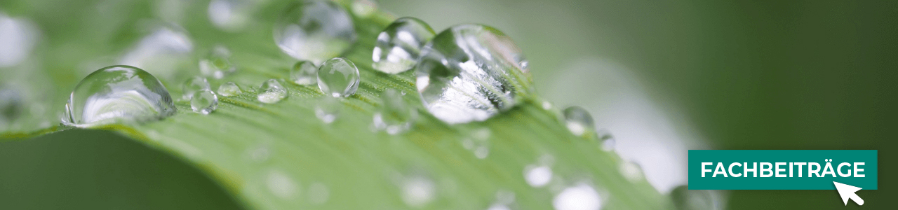 Eisen-Dünger bequem online kaufen bei myAGRAR! Informieren Sie sich zusätzlich in unseren Fachartikeln!