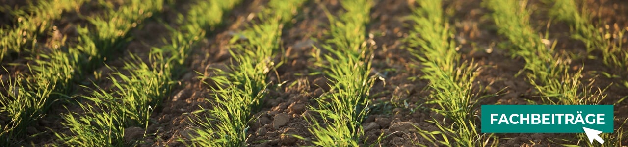 Getreide-Pflanzenschutz online kaufen bei myAGRAR! Zudem finden Sie hier landwirtschaftliche Fachbeiträge! Getreide-Pflanzenschutz online kaufen bei myAGRAR! Zudem finden Sie hier landwirtschaftliche Fachbeiträge!