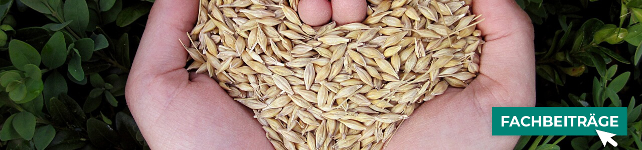 Artikel für die Getreide-Lagerung online kaufen bei myAGRAR! Zudem finden Sie hier landwirtschaftliche Fachbeiträge!