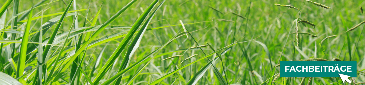 Grünland-Produkte bequem kaufen bei myAGRAR! Fachbeiträge für Ihre Grünlandpflege inklusive! Grünland-Produkte bequem kaufen bei myAGRAR! Fachbeiträge für Ihre Grünlandpflege inklusive!