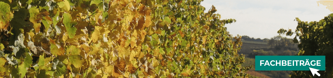 Weindünger online entdecken bei myAGRAR! Erhalten Sie zusätzlich wertvolle Tipps für den Weinbau!