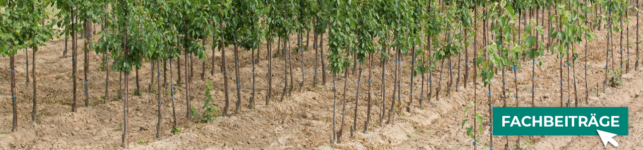 Baumschulen-Pflanzenschutz online kaufen bei myAGRAR! Zudem finden Sie hier landwirtschaftliche Fachbeiträge!