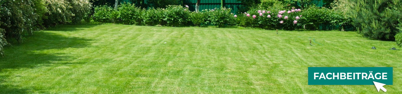 Rasen-Pflanzenschutz online kaufen bei myAGRAR! Zudem finden Sie hier landwirtschaftliche Fachbeiträge!