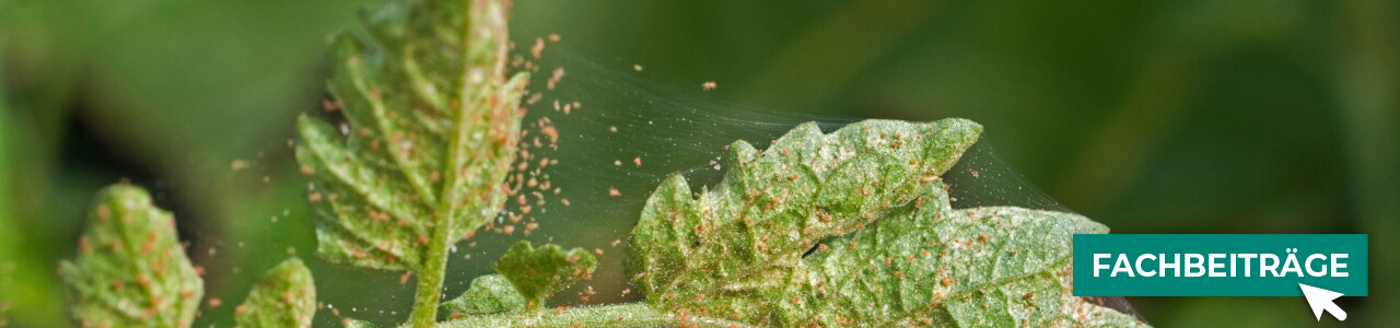 Akarizid online kaufen bei myAGRAR! Zudem finden Sie hier landwirtschaftliche Fachbeiträge! Akarizid online kaufen bei myAGRAR! Zudem finden Sie hier landwirtschaftliche Fachbeiträge!