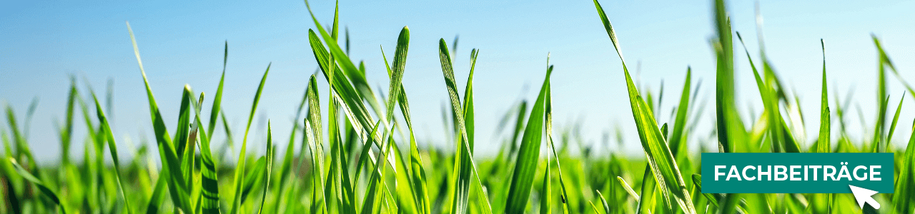 Getreide-Produkte online kaufen bei myAGRAR! Außerdem warten spannende Fachbeiträge auf Sie!