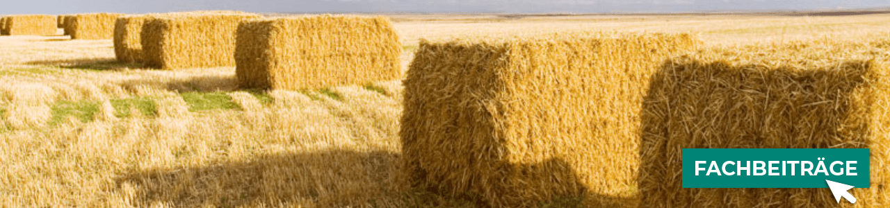 Pressgarne jetzt online kaufen bei myAGRAR! Außerdem finden Sie hier wertvolle Tipps und Fachartikel!