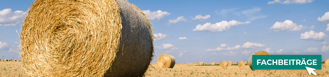Rundballennetze günstig online bestellen bei myAGRAR! Informieren Sie sich zusätzlich in unseren Fachbeiträgen! Rundballennetze günstig online bestellen bei myAGRAR! Informieren Sie sich zusätzlich in unseren Fachbeiträgen!