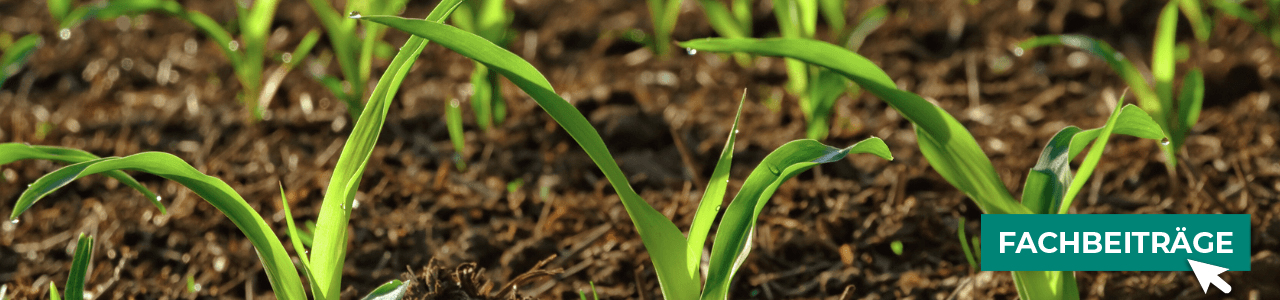 Mais online entdecken bei myAGRAR! Plus: Tipps für eine erfolgreiche Maisproduktion! Mais online entdecken bei myAGRAR! Plus: Tipps für eine erfolgreiche Maisproduktion!