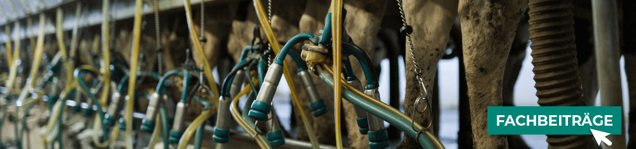 Melkzubehör bequem online entdecken bei myAGRAR! Hier finden Sie auch praxisnahe Tipps!