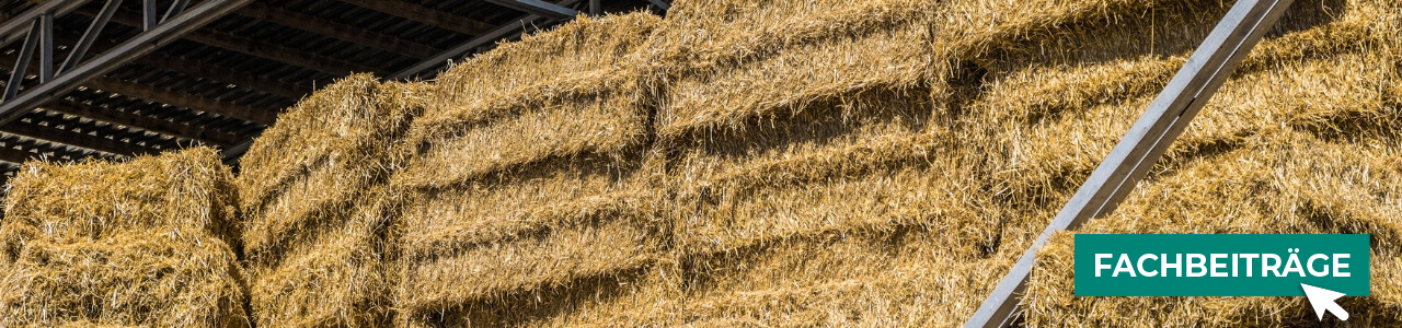 Artikel für die Heu-und-Stroh-Lagerung online kaufen bei myAGRAR! Zudem finden Sie hier landwirtschaftliche Fachbeiträge!