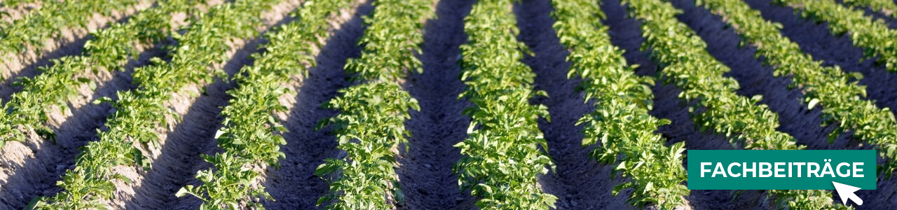 Kartoffel-Pflanzenschutz online kaufen bei myAGRAR! Zudem finden Sie hier landwirtschaftliche Fachbeiträge!