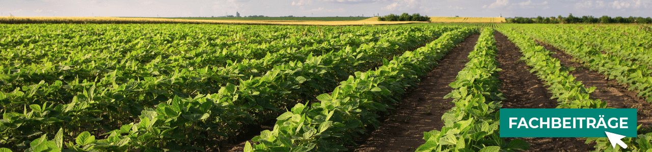 Leguminosen im Shop entdecken bei myAGRAR! Profitieren Sie von zusätzlichen Fachinformationen!