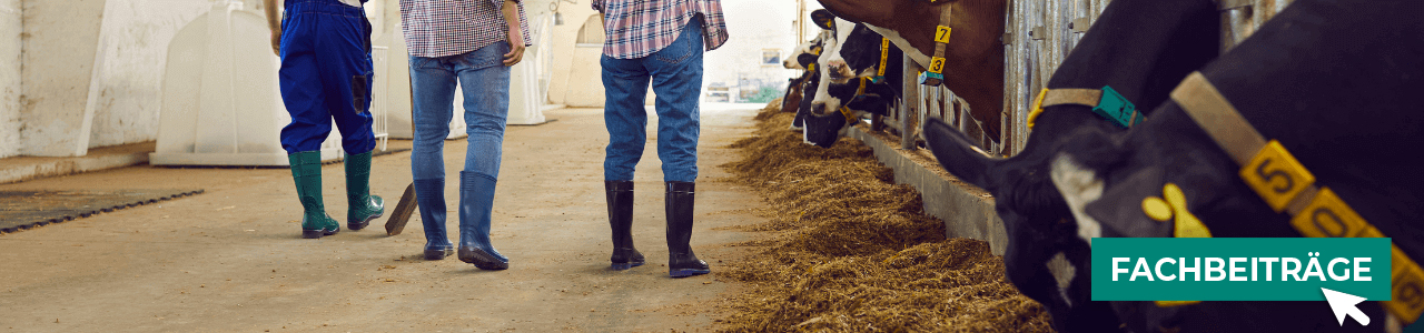Stallhygiene online entdecken bei myAGRAR! Hier finden Sie auch praxisnahe Empfehlungen!