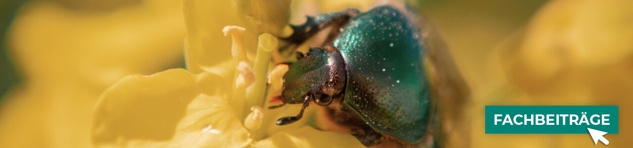 Gelbschalen online kaufen bei myAGRAR! Zudem finden Sie hier landwirtschaftliche Fachbeiträge! Gelbschalen online kaufen bei myAGRAR! Zudem finden Sie hier landwirtschaftliche Fachbeiträge!