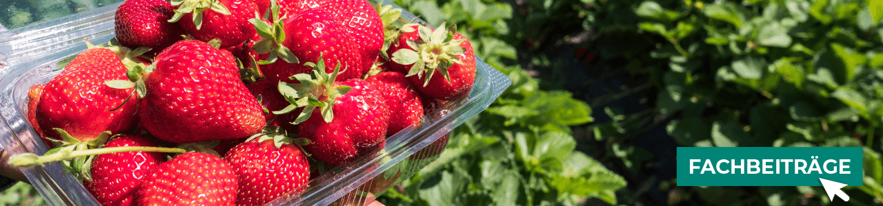 Obstdünger jetzt online bestellen bei myAGRAR! Plus: Expertenwissen für Ihre Obstkulturen! Obstdünger jetzt online bestellen bei myAGRAR! Plus: Expertenwissen für Ihre Obstkulturen!