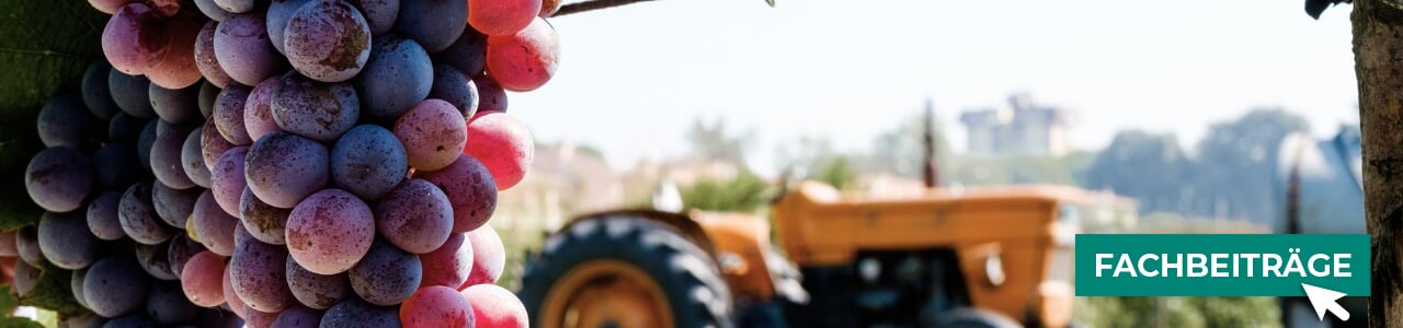 Pflanzenschutzmittel für den Weinbau entdecken und hilfreiche Fachbeiträge lesen!