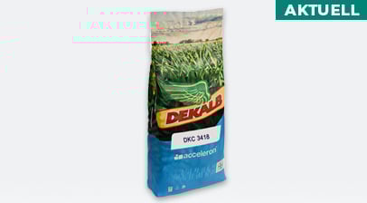 AKTUELL: Maissaat DKC 3418