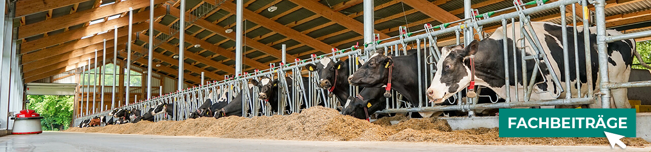 Tierhygiene jetzt bestellen bei myAGRAR! Informieren Sie sich zusätzlich in unseren Expertenbeiträgen!