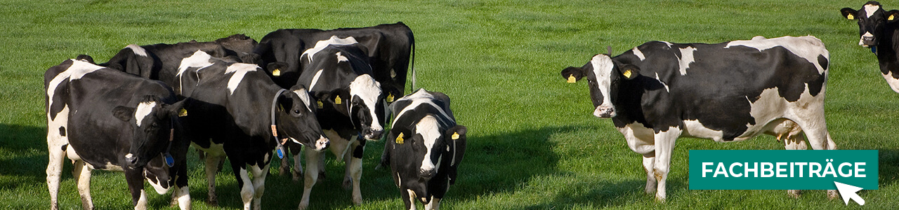 Rinder-Produkte online kaufen bei myAGRAR! Plus: Fachinformationen für eine erfolgreiche Rinderhaltung! Rinder-Produkte online kaufen bei myAGRAR! Plus: Fachinformationen für eine erfolgreiche Rinderhaltung!