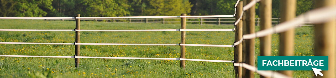 Weidezäune jetzt bestellen bei myAGRAR! Plus: Fachinformationen für eine sichere Weidehaltung!