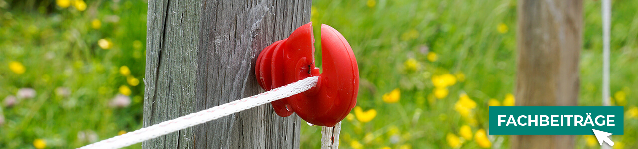 Weidezäune jetzt bestellen bei myAGRAR! Plus: Fachinformationen für eine sichere Weidehaltung!