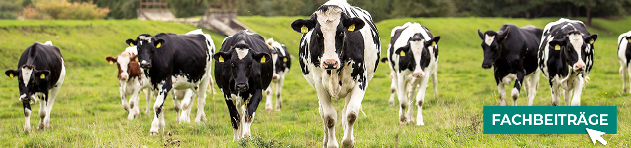 Tierhaltungsartikel online kaufen bei myAGRAR! Zudem finden Sie hier landwirtschaftliche Fachbeitr&auml;ge!