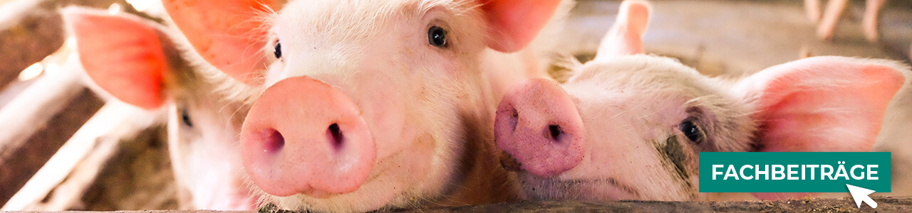 Tierwohl-Produkte online kaufen bei myAGRAR! Plus: Fachwissen für eine artgerechte Haltung!