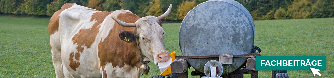 Leckmassen jetzt bestellen bei myAGRAR! Plus: Fachwissen für eine bedarfsgerechte Tierfütterung! Leckmassen jetzt bestellen bei myAGRAR! Plus: Fachwissen für eine bedarfsgerechte Tierfütterung!