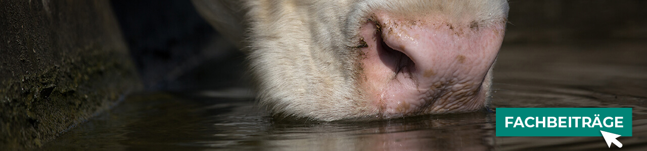 Tränken jetzt online bestellen bei myAGRAR! Plus: Expertenwissen für eine optimale Wasserversorgung!
