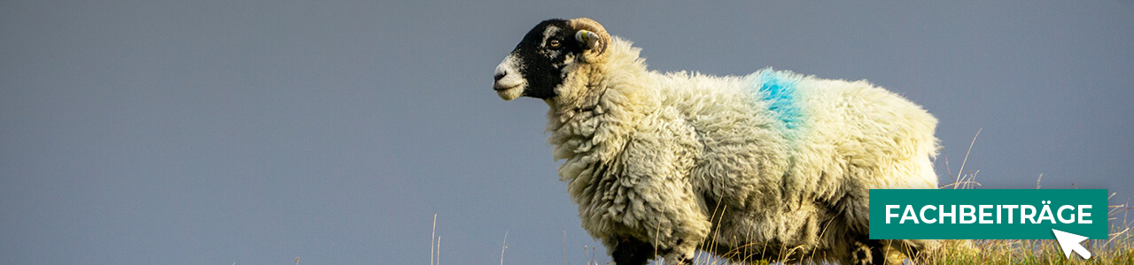 Pflegezubehör bequem online entdecken bei myAGRAR! Hier finden Sie auch praxisnahe Tipps für gesunde Tiere! Pflegezubehör bequem online entdecken bei myAGRAR! Hier finden Sie auch praxisnahe Tipps für gesunde Tiere!