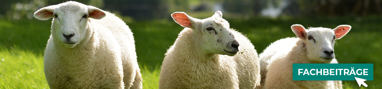 Produkte für verschiedene Tierarten online entdecken bei myAGRAR! Plus: Fachbeiträge für eine optimale Tierhaltung! Produkte für verschiedene Tierarten online entdecken bei myAGRAR! Plus: Fachbeiträge für eine optimale Tierhaltung!