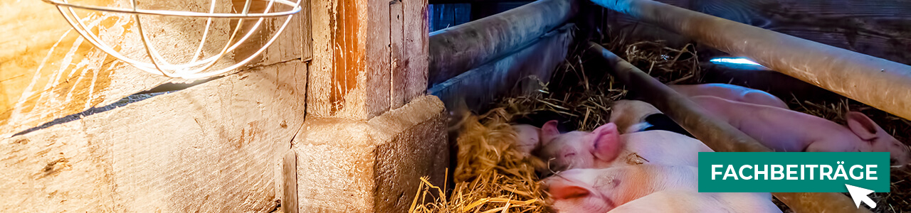 Stallbedarf bequem kaufen bei myAGRAR! Informieren Sie sich zusätzlich in unseren Fachartikeln! Stallbedarf bequem kaufen bei myAGRAR! Informieren Sie sich zusätzlich in unseren Fachartikeln!