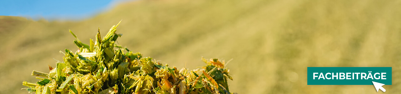 Siliermittel im Shop entdecken bei myAGRAR! Hier finden Sie auch praxisnahe Empfehlungen für Ihre Silage! Siliermittel im Shop entdecken bei myAGRAR! Hier finden Sie auch praxisnahe Empfehlungen für Ihre Silage!