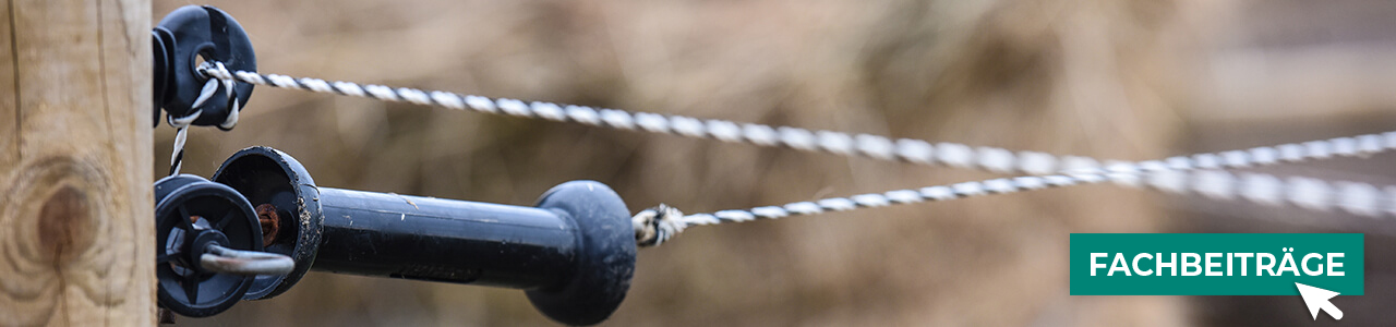 Weidezäune jetzt bestellen bei myAGRAR! Plus: Fachinformationen für eine sichere Weidehaltung!