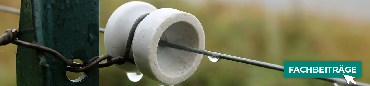 Weidezäune jetzt bestellen bei myAGRAR! Plus: Fachinformationen für eine sichere Weidehaltung!