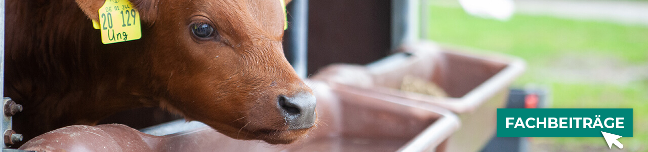 Tränken jetzt online bestellen bei myAGRAR! Plus: Expertenwissen für eine optimale Wasserversorgung! Tränken jetzt online bestellen bei myAGRAR! Plus: Expertenwissen für eine optimale Wasserversorgung!