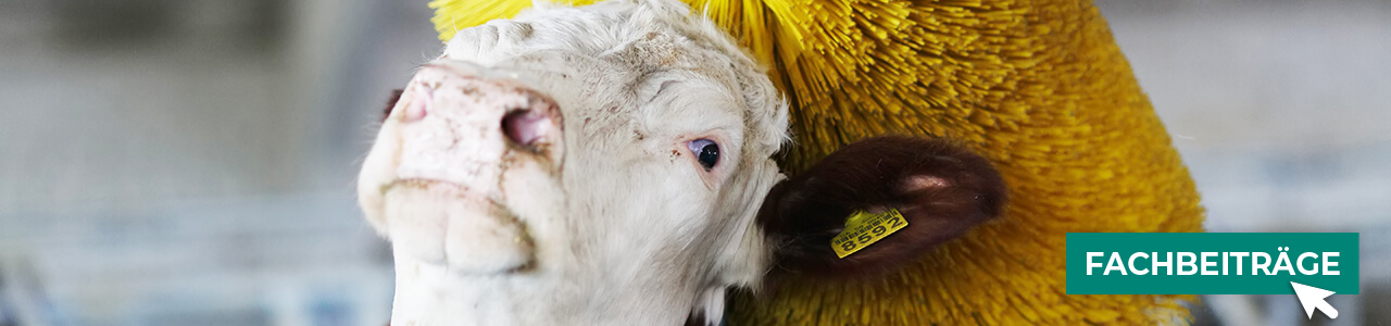 Pflegezubehör bequem online entdecken bei myAGRAR! Hier finden Sie auch praxisnahe Tipps für gesunde Tiere!