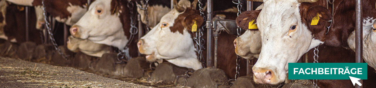 Anbindevorrichtungen online kaufen bei myAGRAR! Plus: Fachinformationen für eine sichere Tierhaltung!