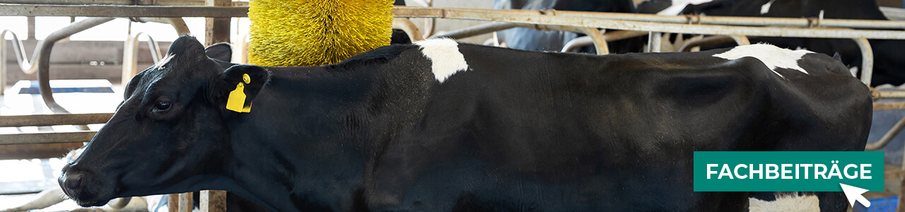 Pflegezubehör bequem online entdecken bei myAGRAR! Hier finden Sie auch praxisnahe Tipps für gesunde Tiere!