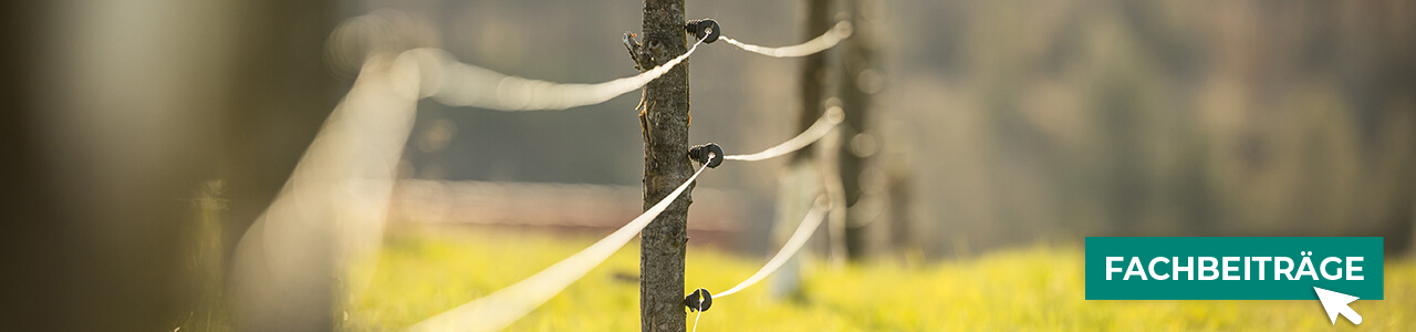Weidezäune jetzt bestellen bei myAGRAR! Plus: Fachinformationen für eine sichere Weidehaltung!