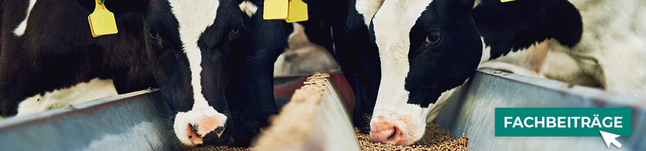 Futtermittel jetzt bestellen bei myAGRAR! Informieren Sie sich zusätzlich in unseren Expertenartikeln! Futtermittel jetzt bestellen bei myAGRAR! Informieren Sie sich zusätzlich in unseren Expertenartikeln!